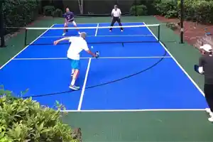 Basketball and Pickleball Backyard Court, Toronto